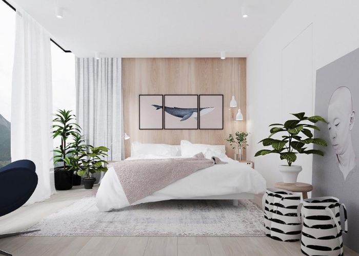 Nguyên tắc lựa chọn cây phong thủy trong phòng ngủ